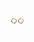 ARETES PETALIA